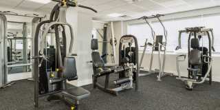 The Lafayette Gallery 8