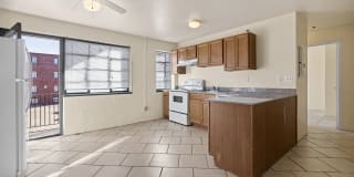 Collins Terrace Gallery 3