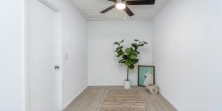 Hampstead Place Gallery 32