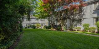 Uptown Lake Oswego Gallery 80