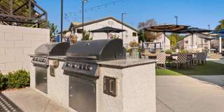 REVERB at Spring Valley Gallery 38