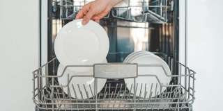 Dover Pointe Gallery 8