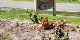 255 S Tropical Trail Gallery 2