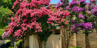 Arbor Village Condominium / Beautiful Update Unit / Refrigerator, Washer & Dryer included Arbor Village Condominium / Beautiful Update Unit / Refrigerator, Washer & Dryer included Gallery 1