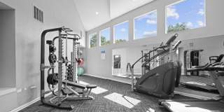 The Arboretum Gallery 14