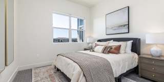 Village at Crystal Springs- Senior Living Gallery 37