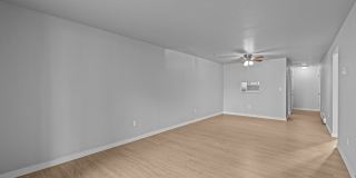 Shannon South Gallery 15