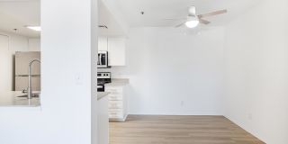 The Landing Gallery 8