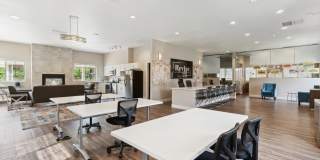 Revive at 9 Mile Station Gallery 12