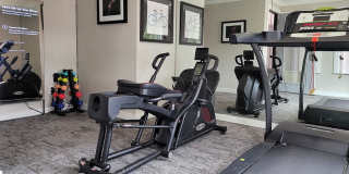 Ivy Plains at Brooks Ivy Plains at Brooks Gallery 5