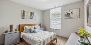 Trotters Park Gallery 23