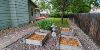 Must see House in North Longmont Gallery 5