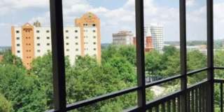 Furnished Move-In Ready Downtown 1br/1ba Apartment on the 5th floor with a Balcony Gallery 8
