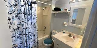 233 East Spruce Street - 1 Gallery 5