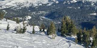 61661 Woodriver Dr Gallery 30