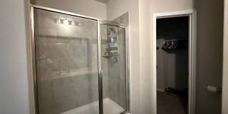 2434 Dry Moss Gallery 39
