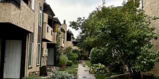 Spacious North Boulder Townhome Gallery 3