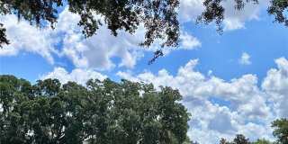 5121 FAIRWAY ONE DRIVE Gallery 43