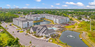 Exchange at the Beach Gallery 24