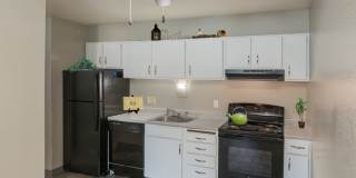 Mason Manor Gallery 2