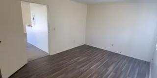 Charming Downstairs 1 Bedroom, 1 Bathroom Apartment in a Quiet Community Gallery 12