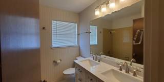 4318 WINDSWEPT Gallery 27