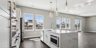 Society at Laurens Gallery 56