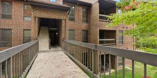 23250 CHESTNUT OAK Court Gallery 1