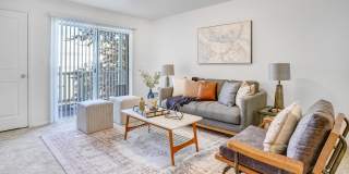 Cedar Breaks Gallery 2