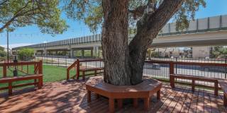 Sky at Salado Creek Gallery 6
