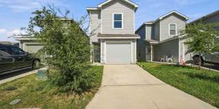 11006 Tree Line Gallery 1