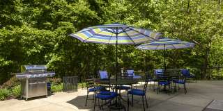 Chestnut Oaks, 55+ Gallery 25