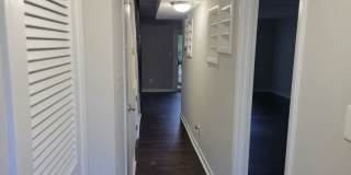 Spring Has Sprung — And So Have the Savings! Gallery 3