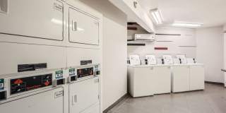 Alma Cherrywood Alma Cherrywood Gallery 21