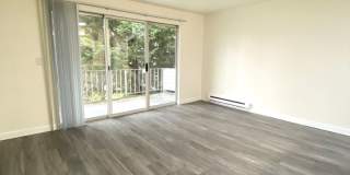 Olympic View Apartments Gallery 10