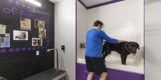 Continuum Gallery 18