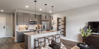 The Collins The Collins Gallery 15