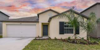 9828 BRANCHING SHIP TRACE TRACE Gallery 1