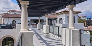 Vineyards Gallery 64