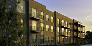 Harmony Oaks Gallery 26