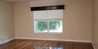 509 Alejandro Lane Gallery 6