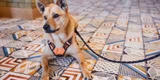 NOVEL 14th Street by Crescent Communities Gallery 33