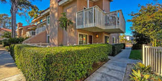 7422 Seastar Dr Gallery 1