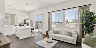 Casitas on Catalina Gallery 5