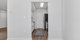 The Henry Richmond Hill Gallery 44