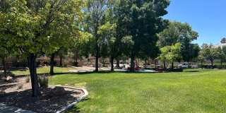 Outstanding Summerlin Home Gallery 30
