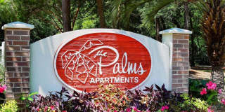 The Palms The Palms Gallery 1