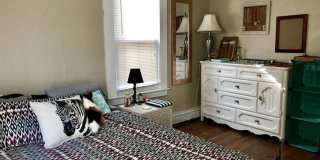 357 Windsor St. Gallery 10