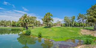 5110 N 31st Way Unit 312 Gallery 17