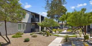 SITE Fifty55 Gallery 16